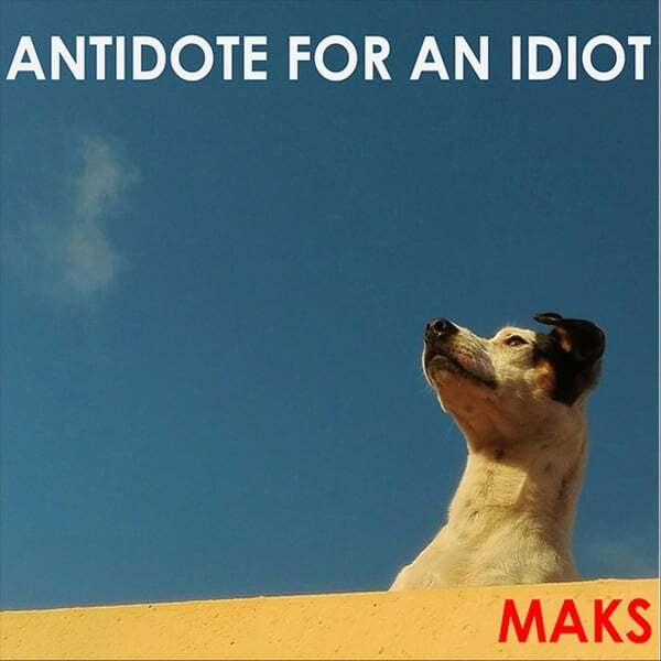 Cover art for Antidote for an Idiot